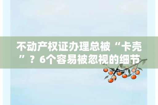 离婚证办理全攻略：从准备到拿证，5个实用技巧帮你高效搞定